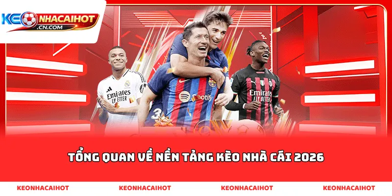 Tổng quan về nền tảng kèo nhà cái 2026
